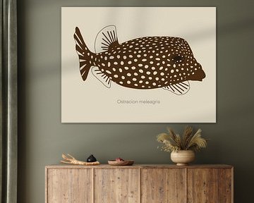 Eine Illustration des Weißgefleckten Kofferfisches von UMA Digital NL