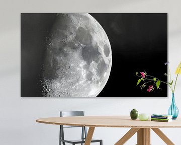 Lune en macrophotographie sur Mustafa Kurnaz