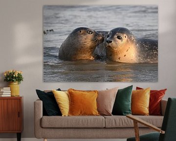 Zwei Seehundwelpen bei Schiermonnikoog von Meike Padding