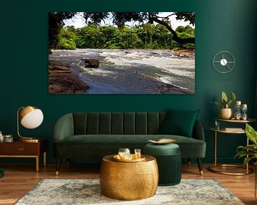 River near the island of Awarradam in Suriname by René Holtslag