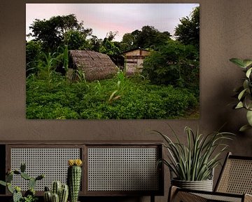 This Maroon village lies on the Suriname River in Suriname by René Holtslag