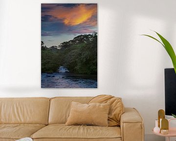 River near the island of Awarradam in Suriname by René Holtslag