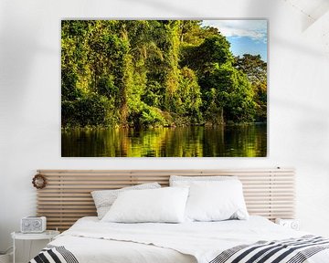 River near the island of Awarradam in Suriname by René Holtslag