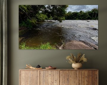 River near the island of Awarradam in Suriname by René Holtslag