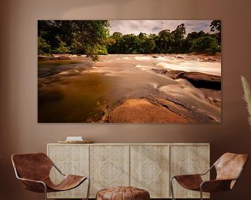 River near the island of Awarradam in Suriname by René Holtslag