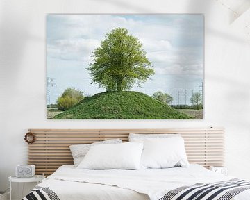 Arbre remarquable sur une colline - été sur Gert van Santen