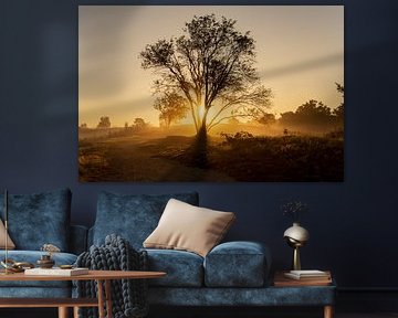 Renderklippen Heerde