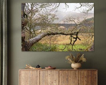 Schottland - Glennfinnan-Viadukt von Ronald Harmsen