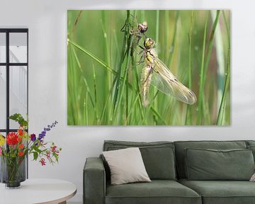 Quatre taches sur Matthias Brix