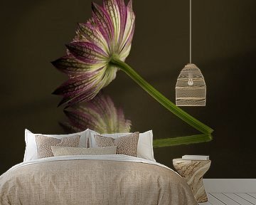 A moment of quiet reflection: tranquillity in wall decoration by Marjolijn van den Berg