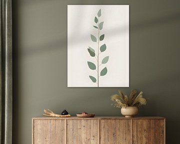 botanique simple sur Giandra Safaraz