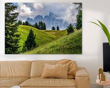 Seiser Alm / Alpe di Siusi, Italy - I by Jarne Buttiens