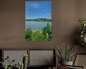 Blick über den Rhein zur Rotweinstadt Unkel