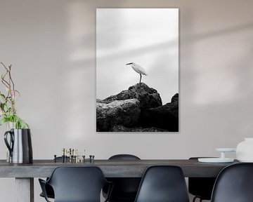 Reiher in der Stille von Jarne van Laar