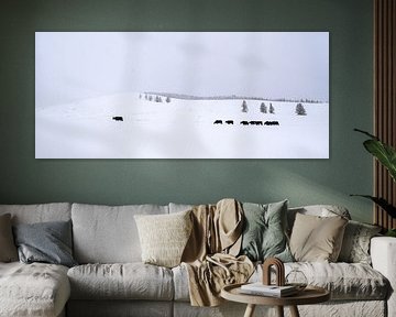 Tsenkher, Mongolei - IV von Jarne Buttiens