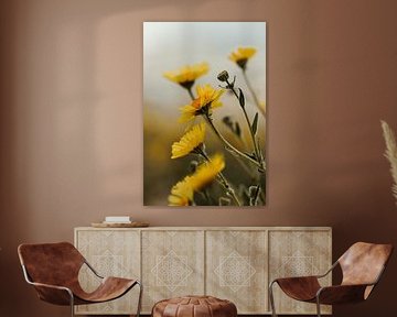 Frühlingsblume im Tal des Todes von Get Framed Photography