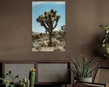 Joshua Tree National Park by Get Framed Photography