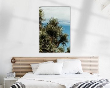 Parc national de Joshua Tree USA sur Get Framed Photography