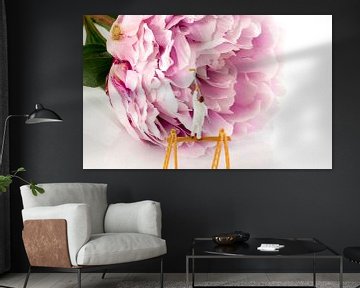 pink peony with flower bud von ChrisWillemsen