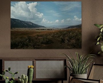 Parc national de Yellowstone USA sur Get Framed Photography