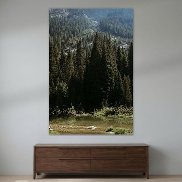 Eland in Grand Teton National Park (USA)