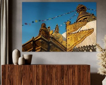 Singe au coucher du soleil sur le stupa de Swayambhunath à Katmandou - Népal