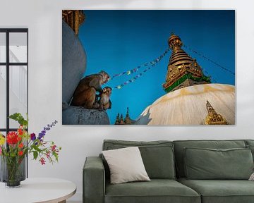 Singes au stupa de Swayambhunath à Katmandou - Népal