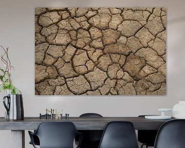 Very dry cracked earth. by Gert van Santen