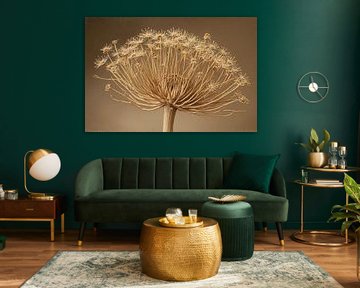 A still life of a bear claw on light dark brown background.