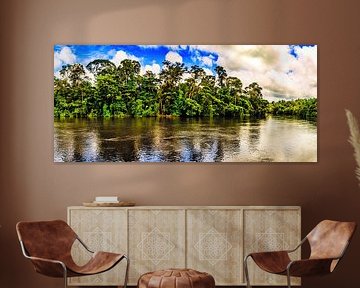 Suriname's jungle at Awaradam