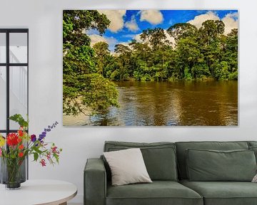 Suriname's jungle at Awaradam