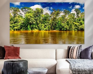 Surinames Dschungel in Awaradam