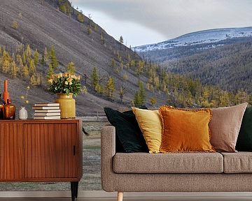 Bat-Ölzii, Mongolië - III