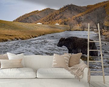 Arkhangai, Mongolië - IV