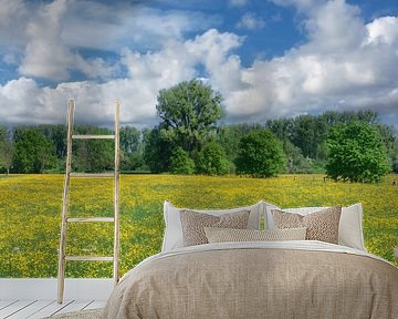 Frühling im Naturschutzgebiet Urdenbacher Kämpe
