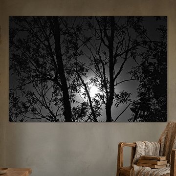 Das Auge des Lichts von Made by Martin