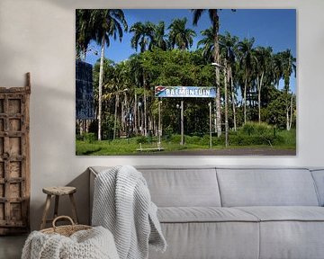 Palm garden in Paramaribo capital of Suriname. by René Holtslag