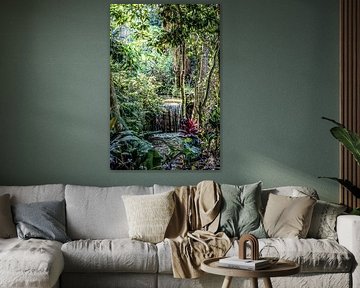 Sri Lanka Beauté de la nature sauvage