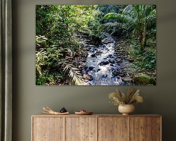 Bali; running water by Dirk Lahuis