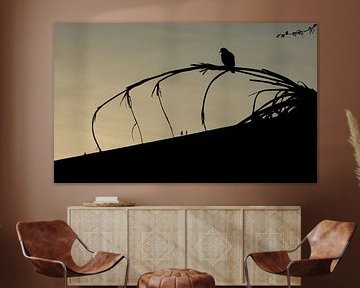 Sunset by Frank Smedts