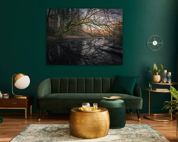 Weiher mit mystischem Baum von Tobias Wartenberg