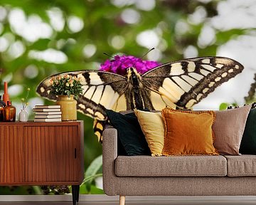 Koninginnenpage in de tuin