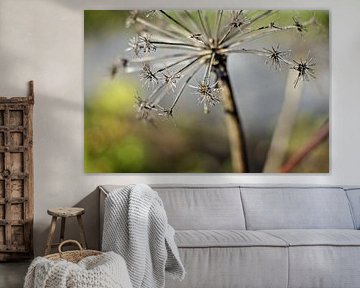 Kleine Sternchen von Petra Dreiling-Schewe