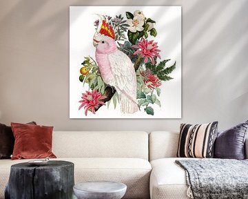 Inca Cockatoo by Marja van den Hurk