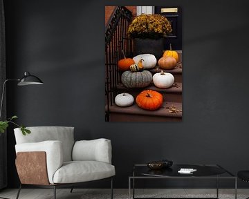 New Yorker Kürbisse in den Brownstones von Shaquille Maarschalkerweerd