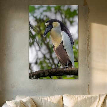 Der Nachtwächter von Lelydorp: Kahnschleicher