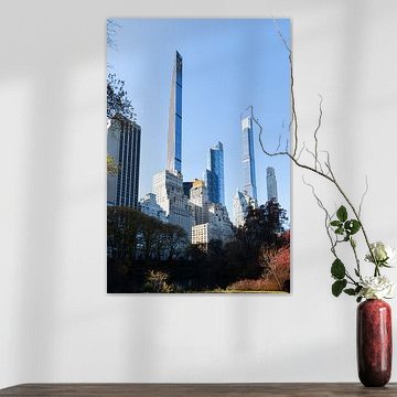 New Yok, view from the edge of Central Park