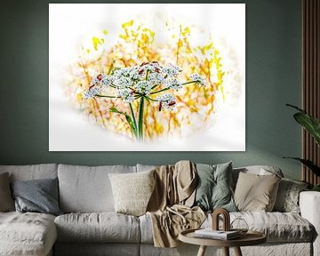 Sommerliche Feldblume in malerischem Licht von Z6Focus