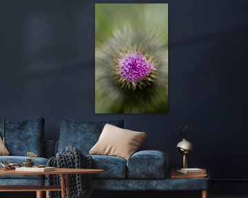 Distel-Explosion von QEIMOY