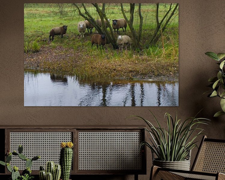 Aperçu de la chambre